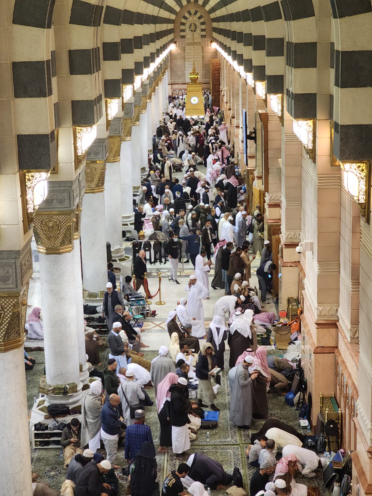 WhatsApp Image 2023-01-12 at 6.54.59 PM (3).jpeg